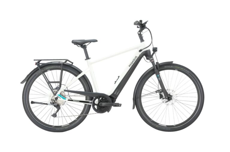 Pegasus Premio EVO 10 Lite 2024