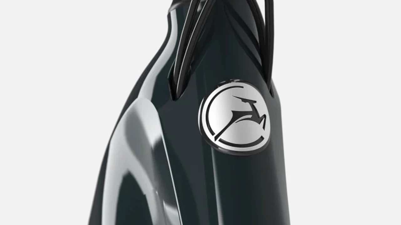 Gazelle Ultimate C8 Plus HMB 2025 - Afbeelding 18